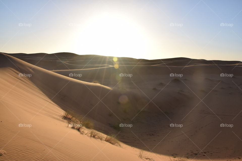 Sahara dunes, Morroco