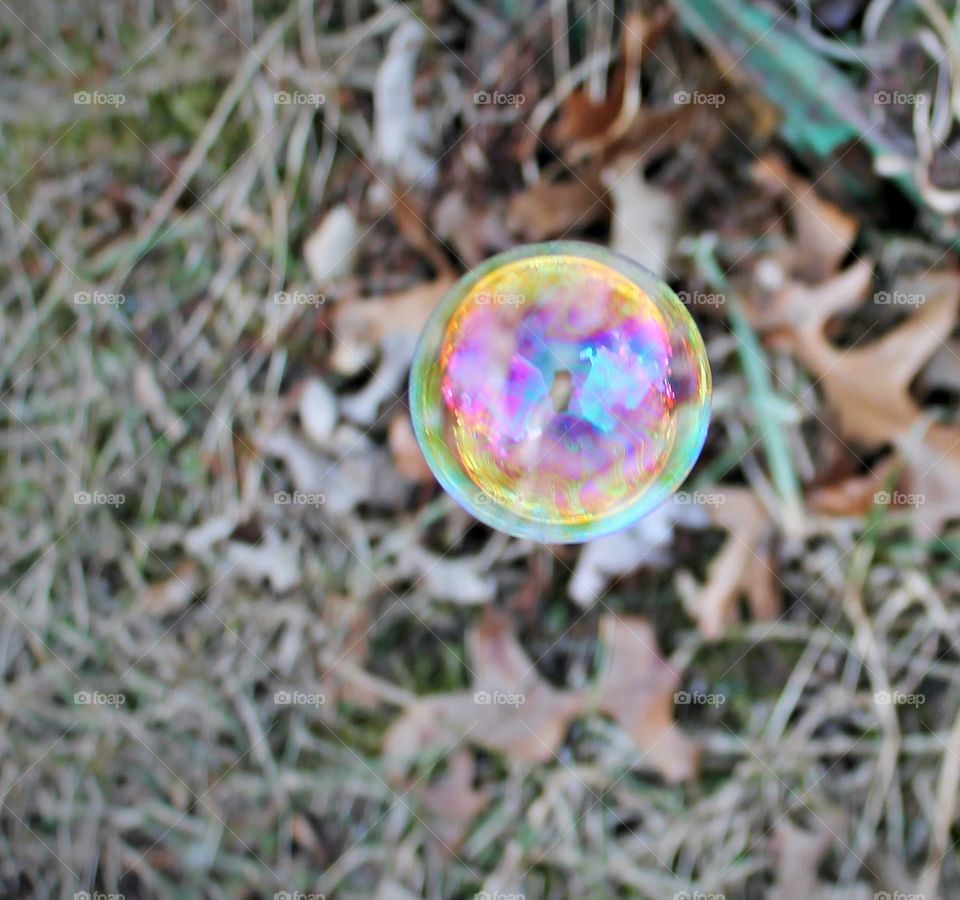 Bubble over grassy field
