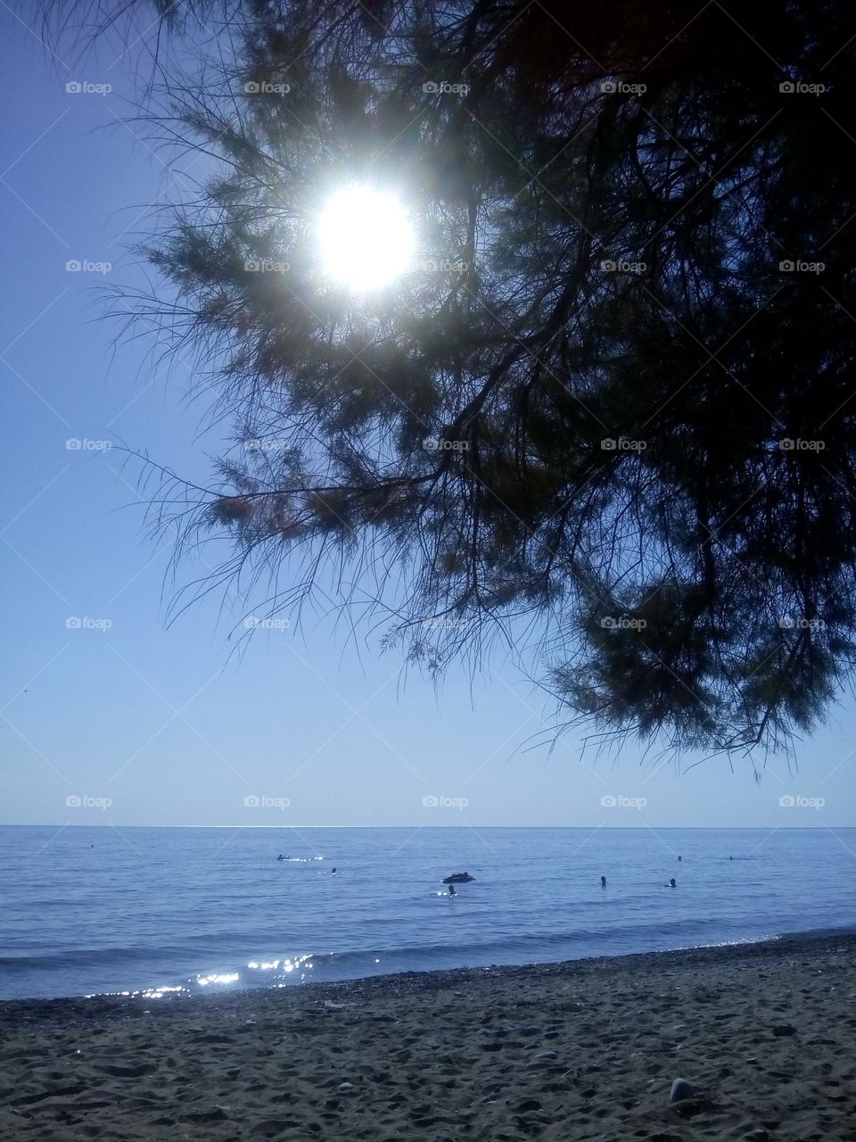 Life is better at the beach