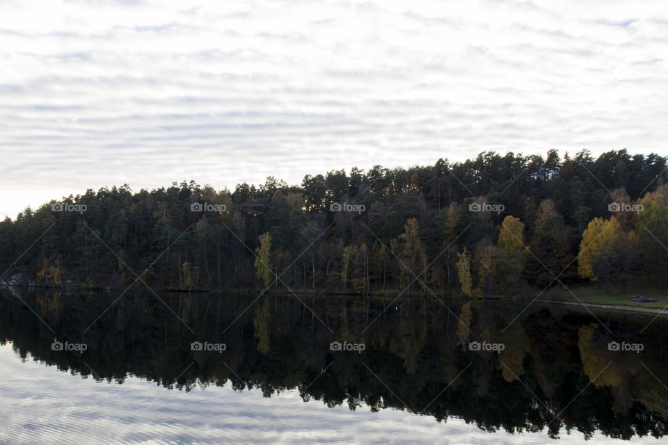 Trees and cloud reflecting on lake