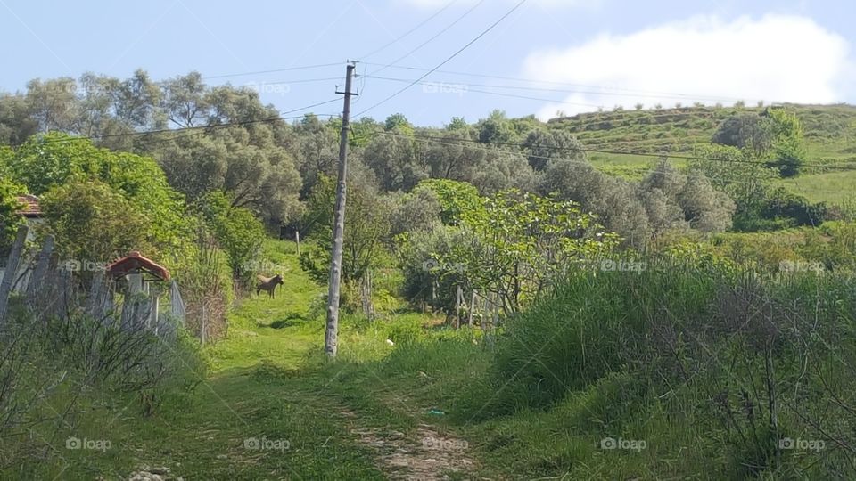 Natura Albania