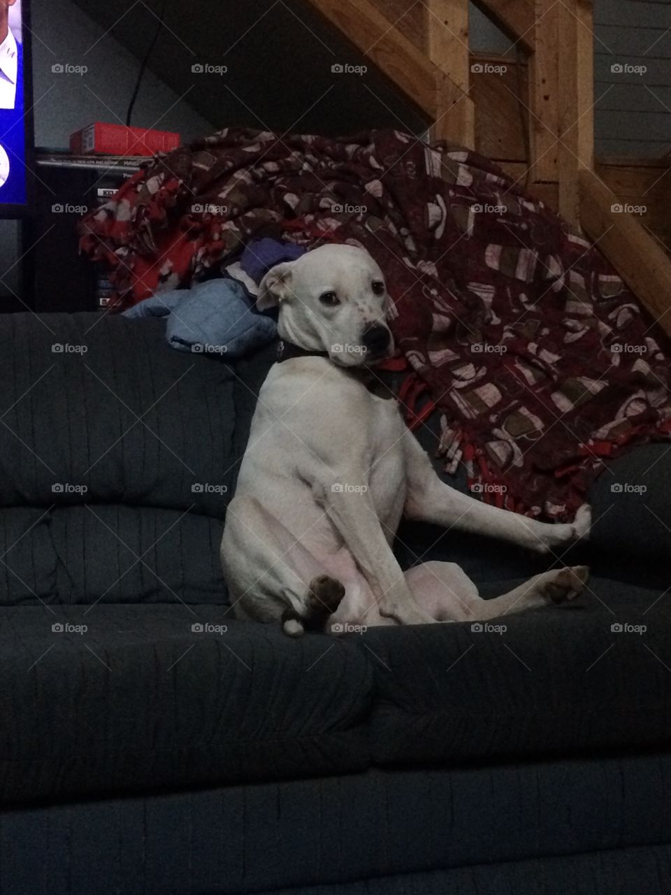 Sitting Like A Person