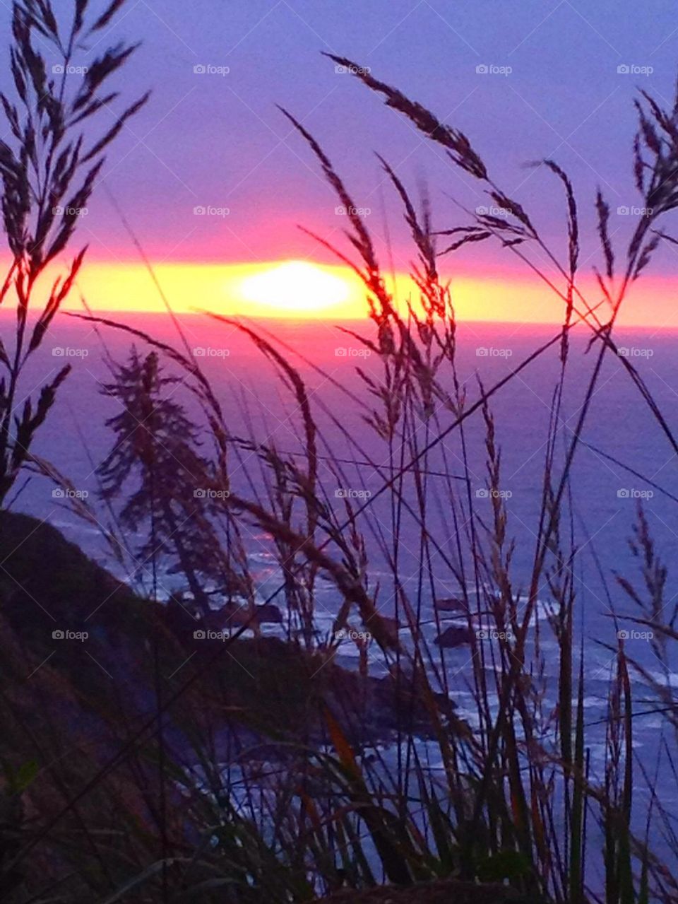 Sunset over the ocean