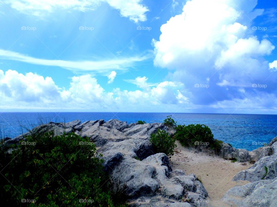 Bermuda shore