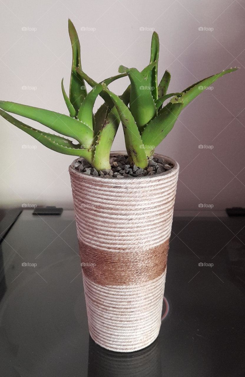 mes pots customisés