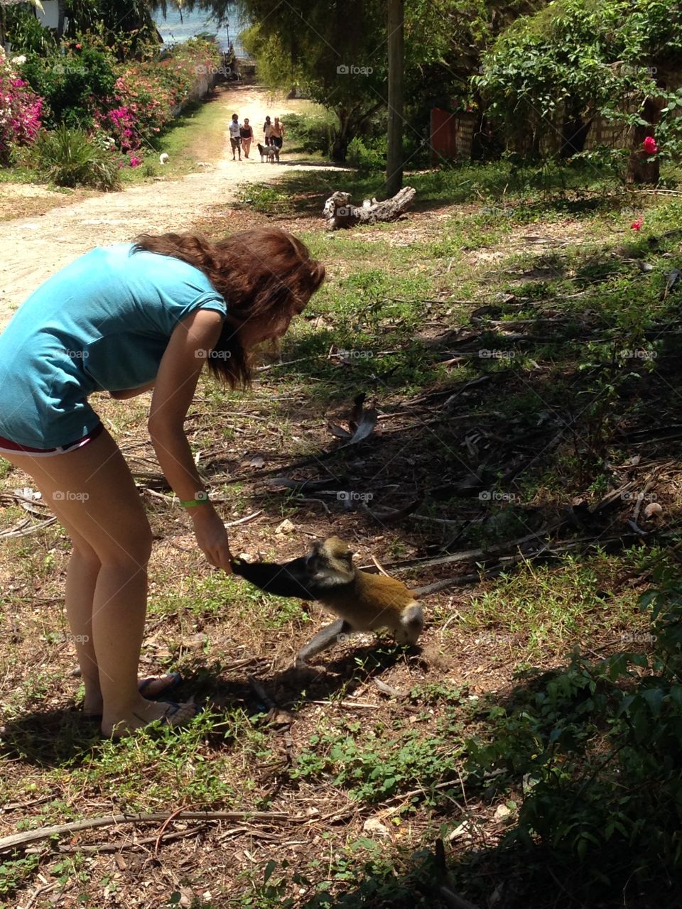 Hand to hand with a monkey!