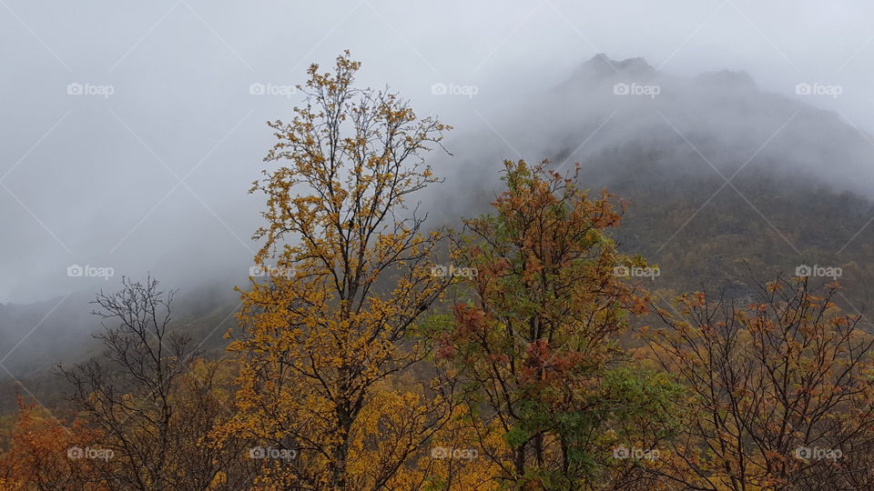 View of fog covered mountain in autumn