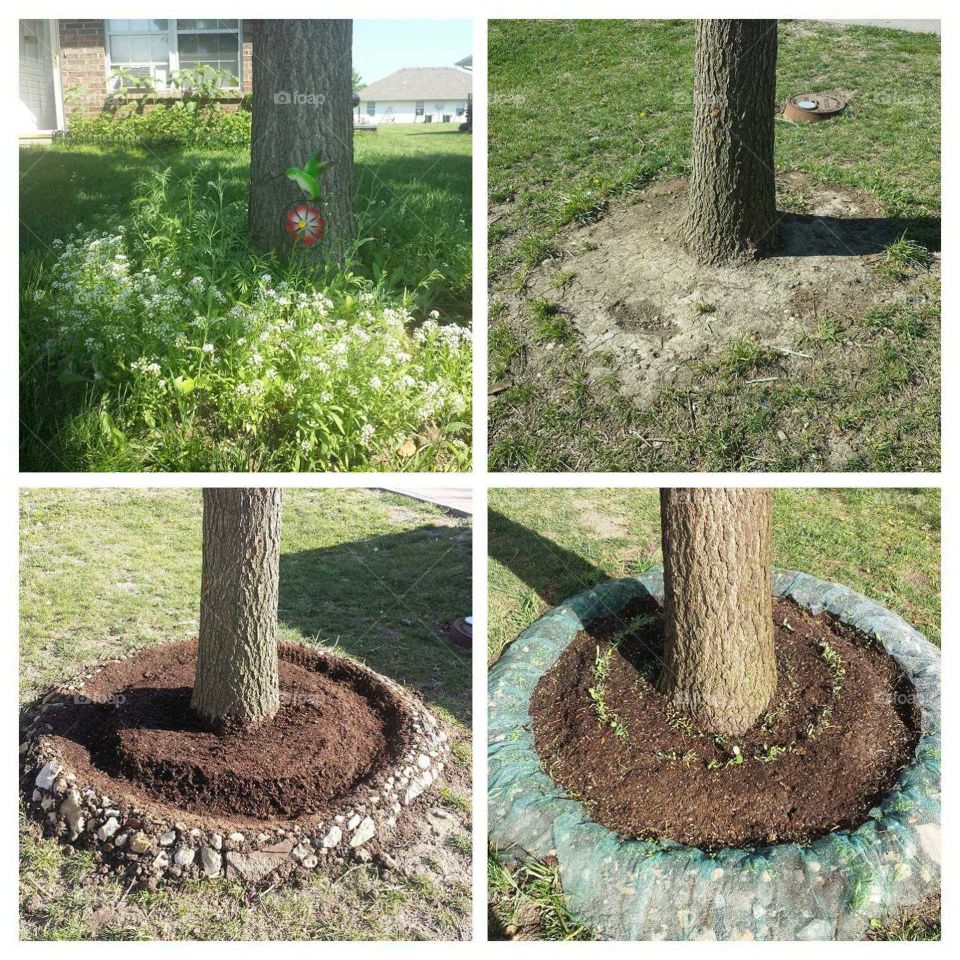 circle butterfly garden colage