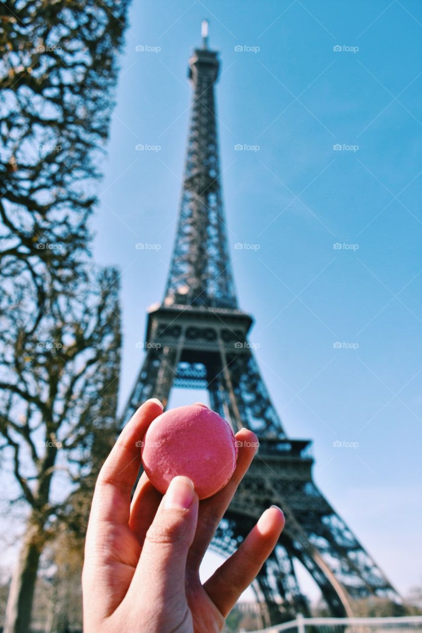 Macaron in Paris, France