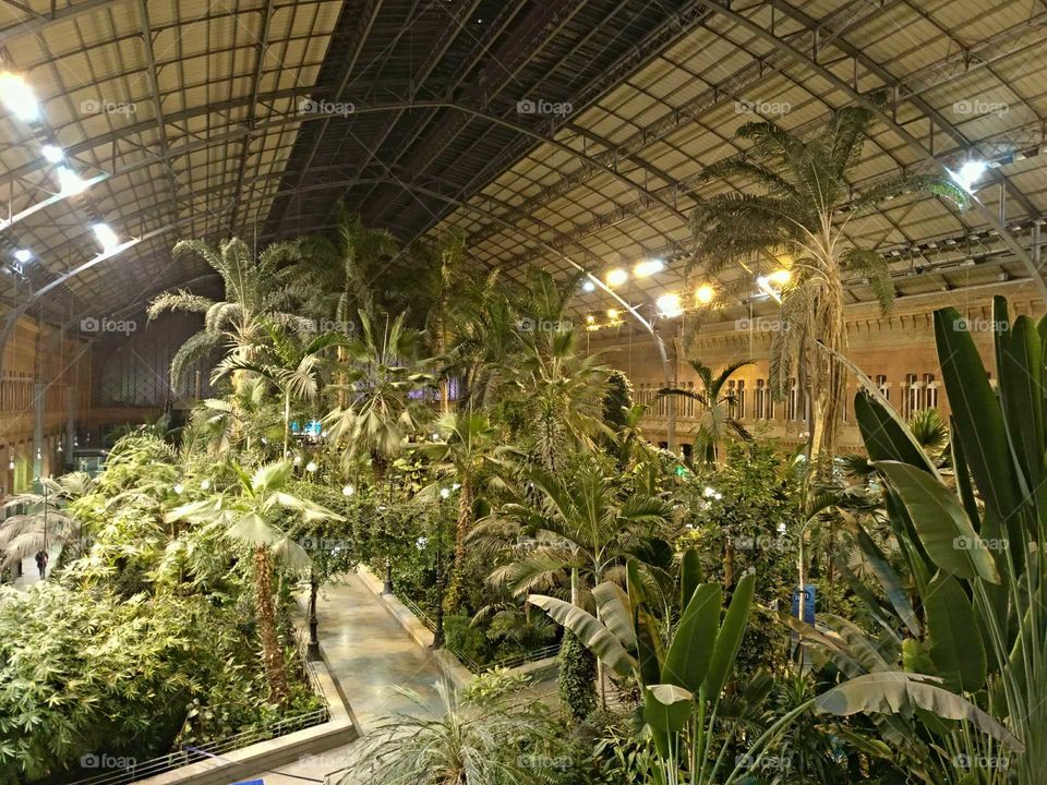 Jardín Tropical estación Puerta de Atocha (Madrid)