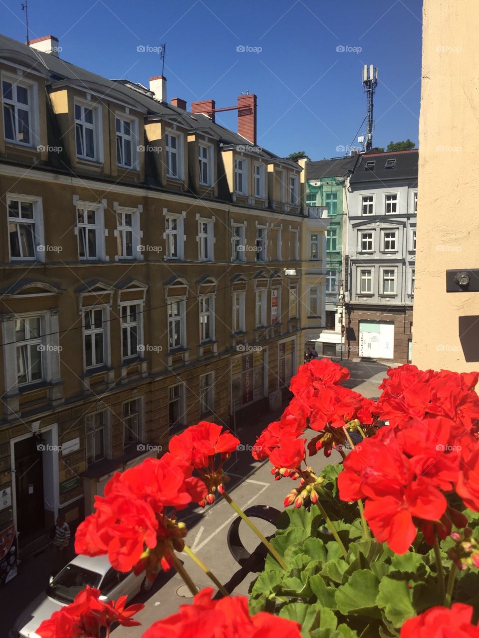 A view on Poznan from the balcony with flowers 