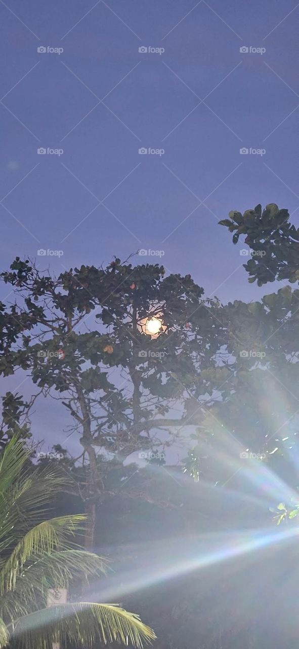 the beautiful beautiful moon