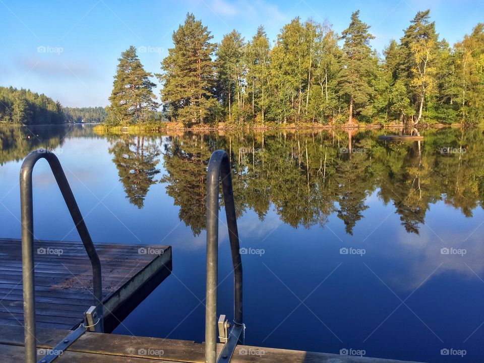 Reflection of trees in lake