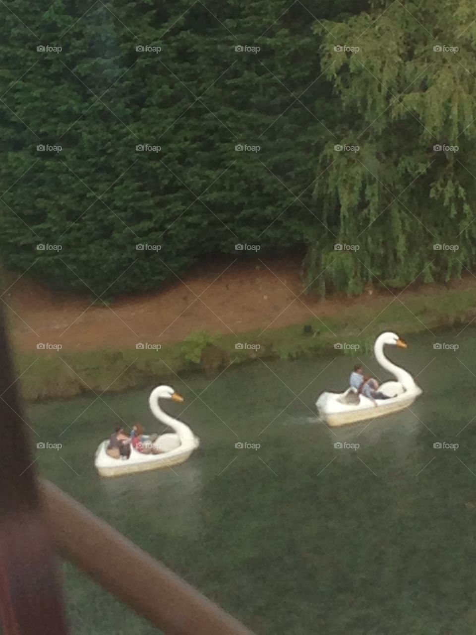 Swan boat