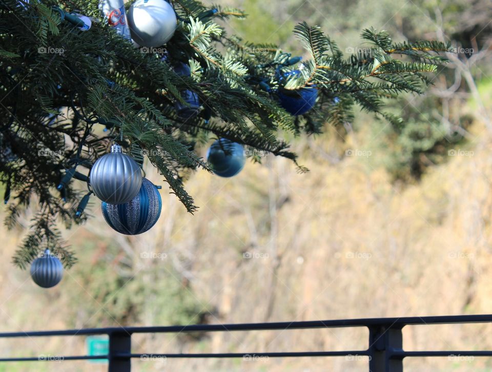 roadside Christmas tree ornaments