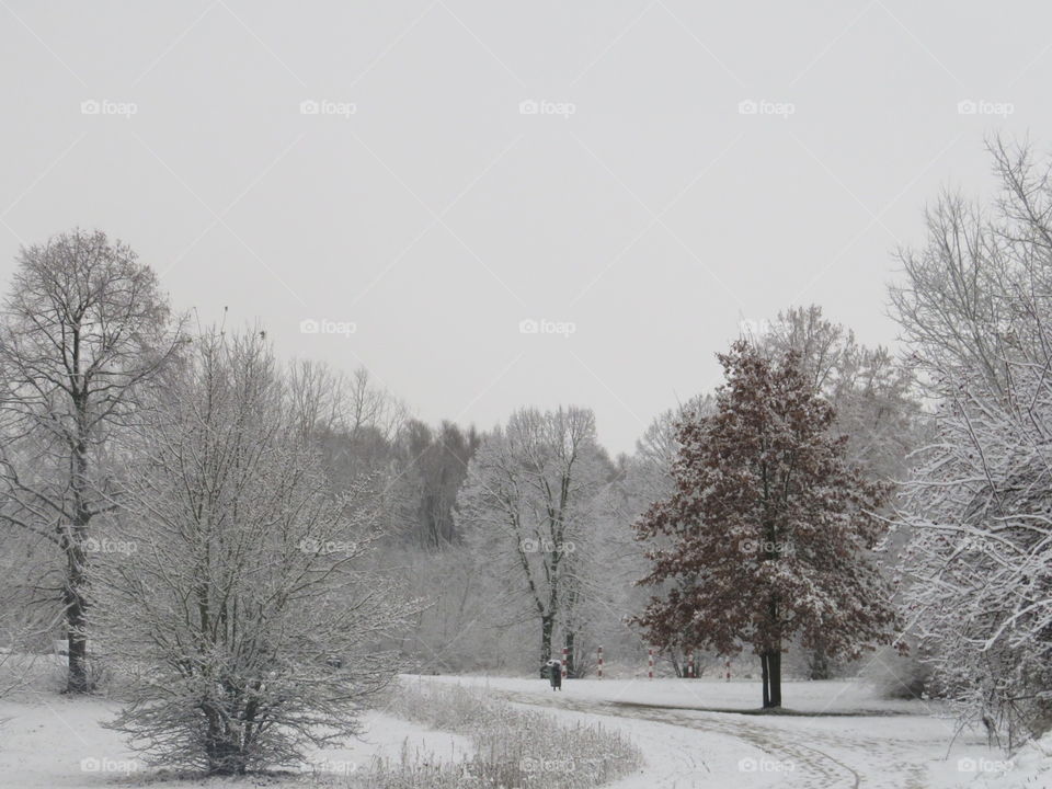 Die weisse Landschaft