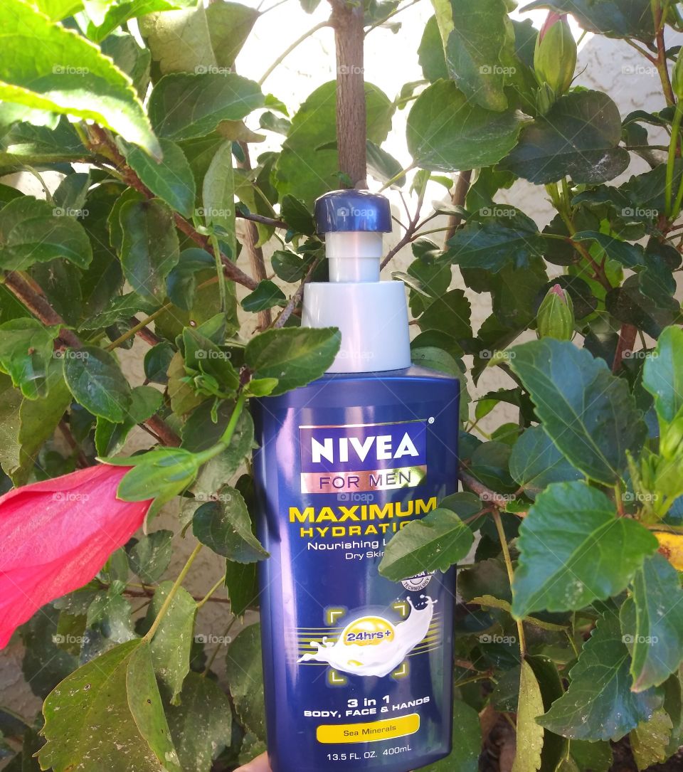 Nivea Blue & Green