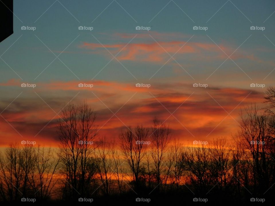 Sunset in allegan forest