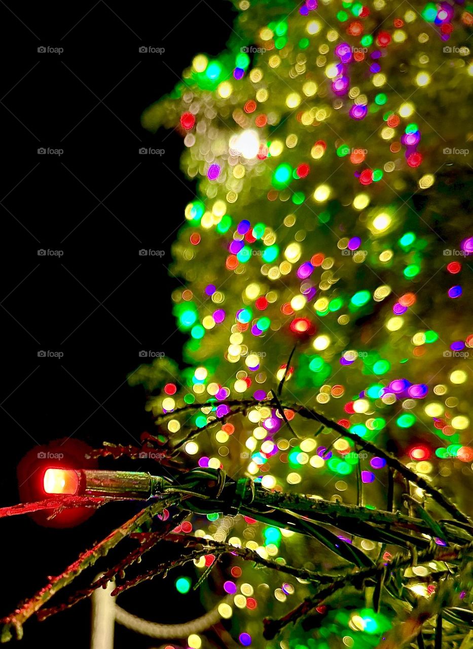 Christmas Tree Colored Lights