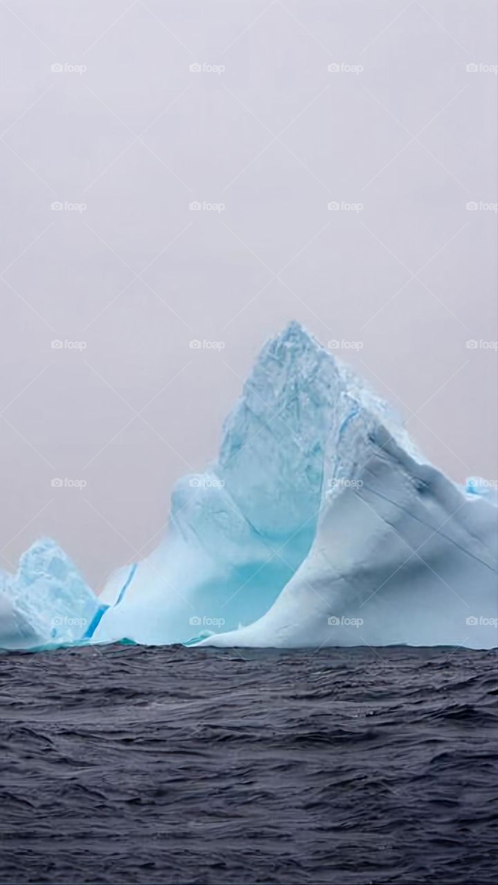A very beautiful picture, and there is no better picture than it. There is no better picture of green herbs and colorful, red and white roses than it. Glory be to God, the natural and picturesque view, and there is no more