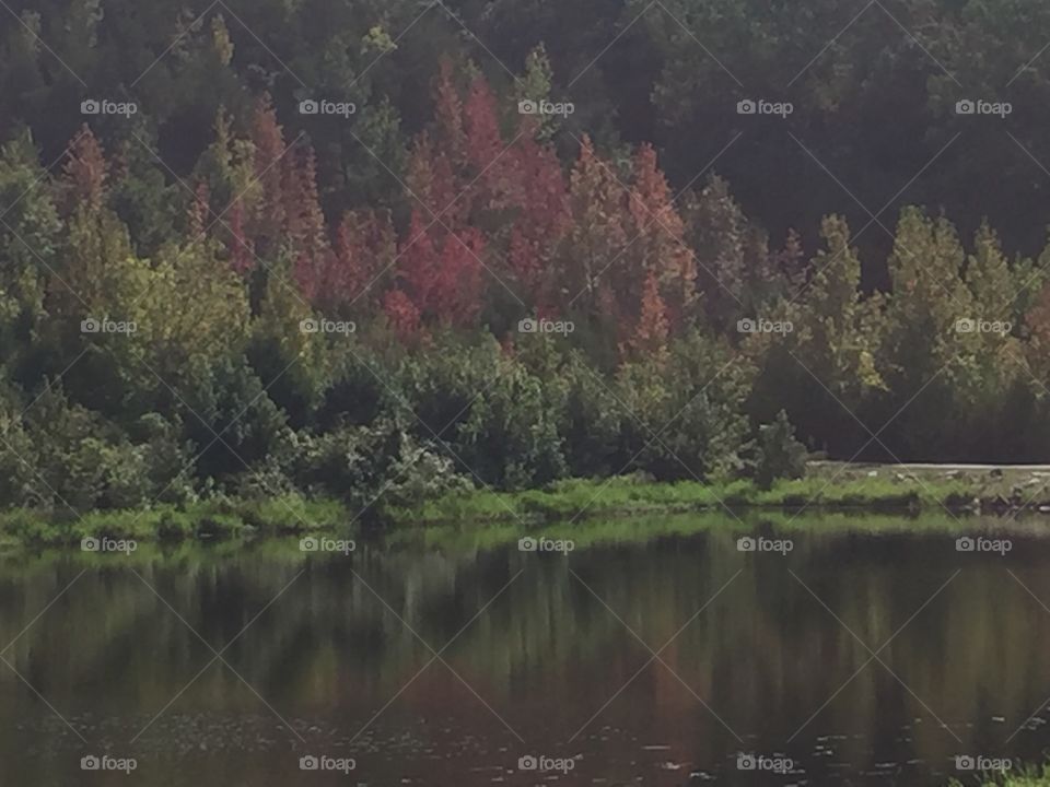 Reflections of color