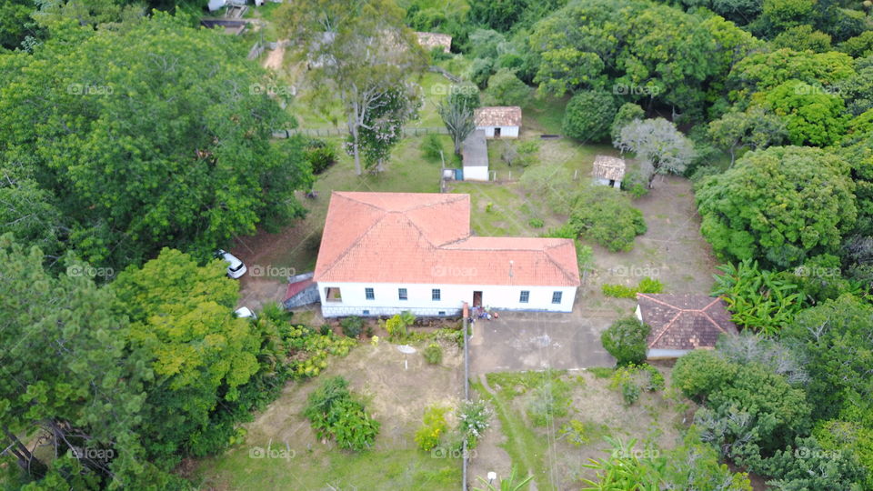 fazenda
