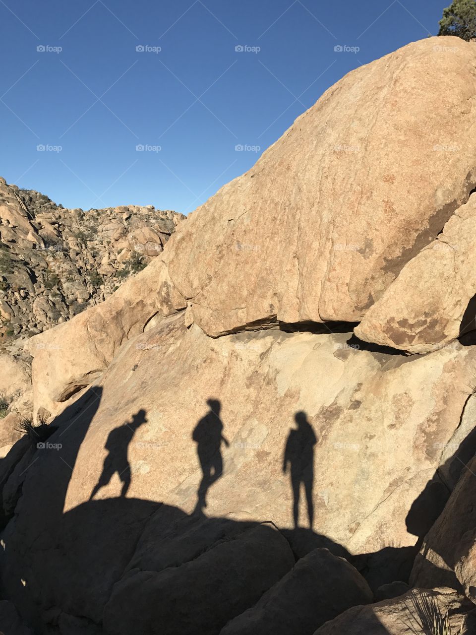 Our best follower, our shadow. 