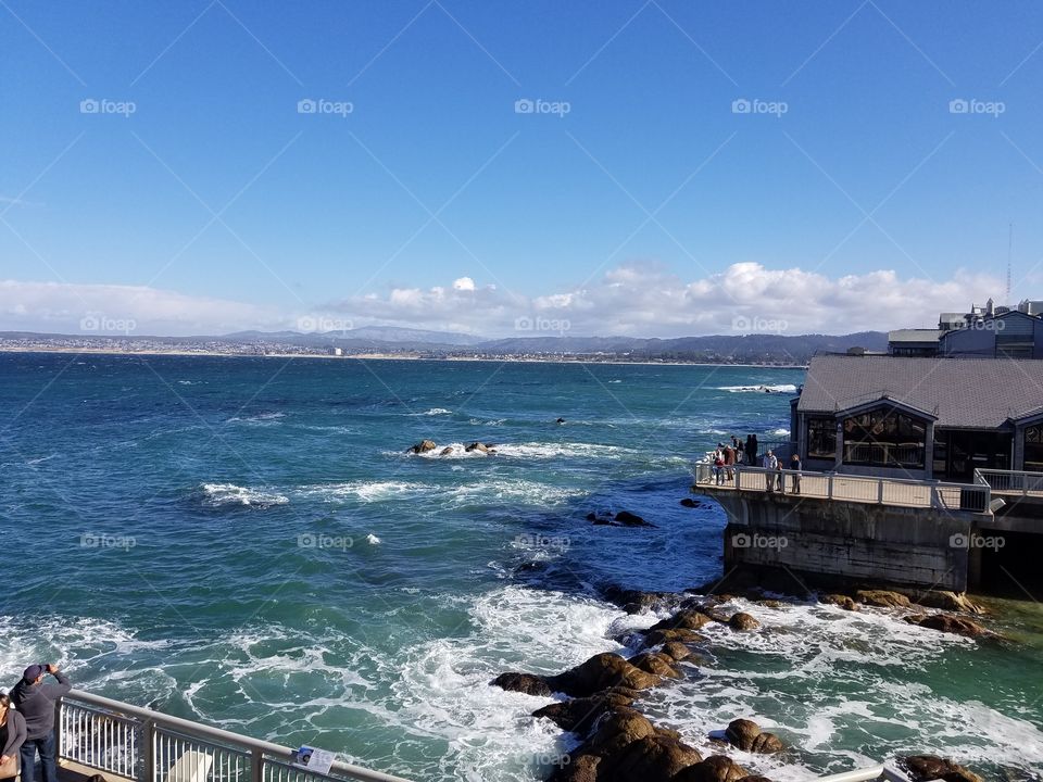 view from Monterey bay aquarium