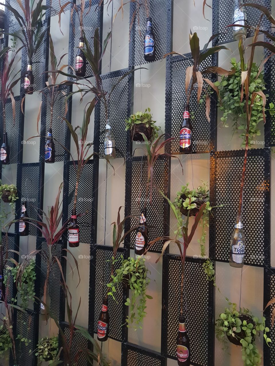 hanging bottled plants, nice garden, buit on the wall, decoration
