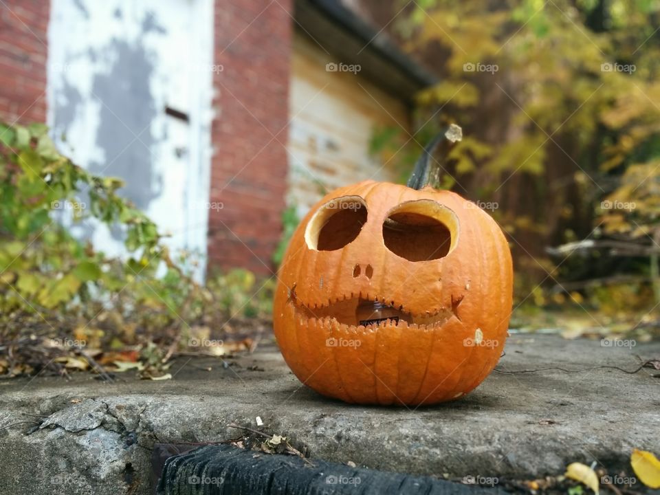 Pumpkin. Found it when doing a shoot.