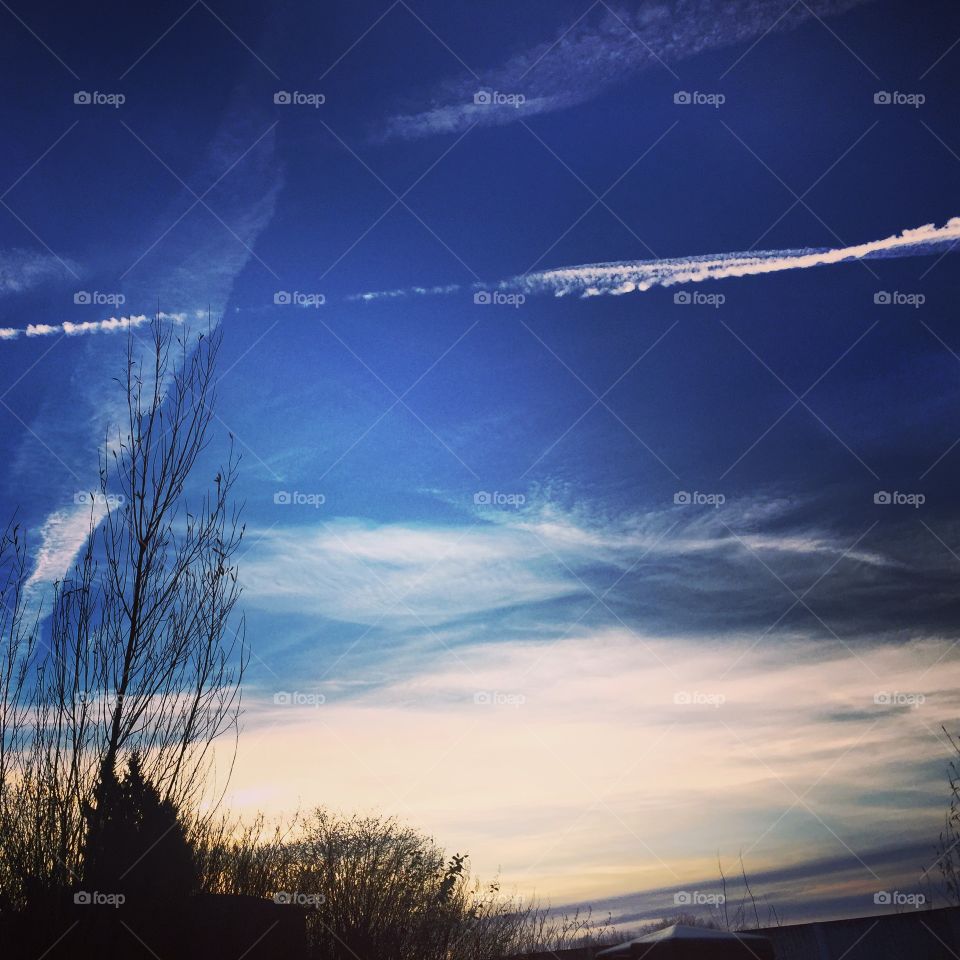 Sky