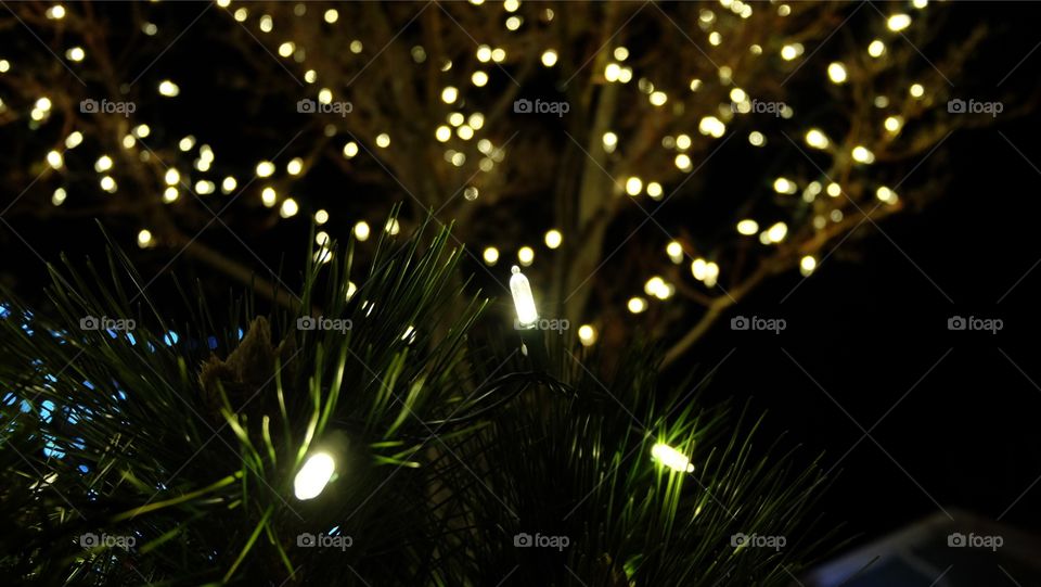 Night festive decoration,  tiny LED lights 