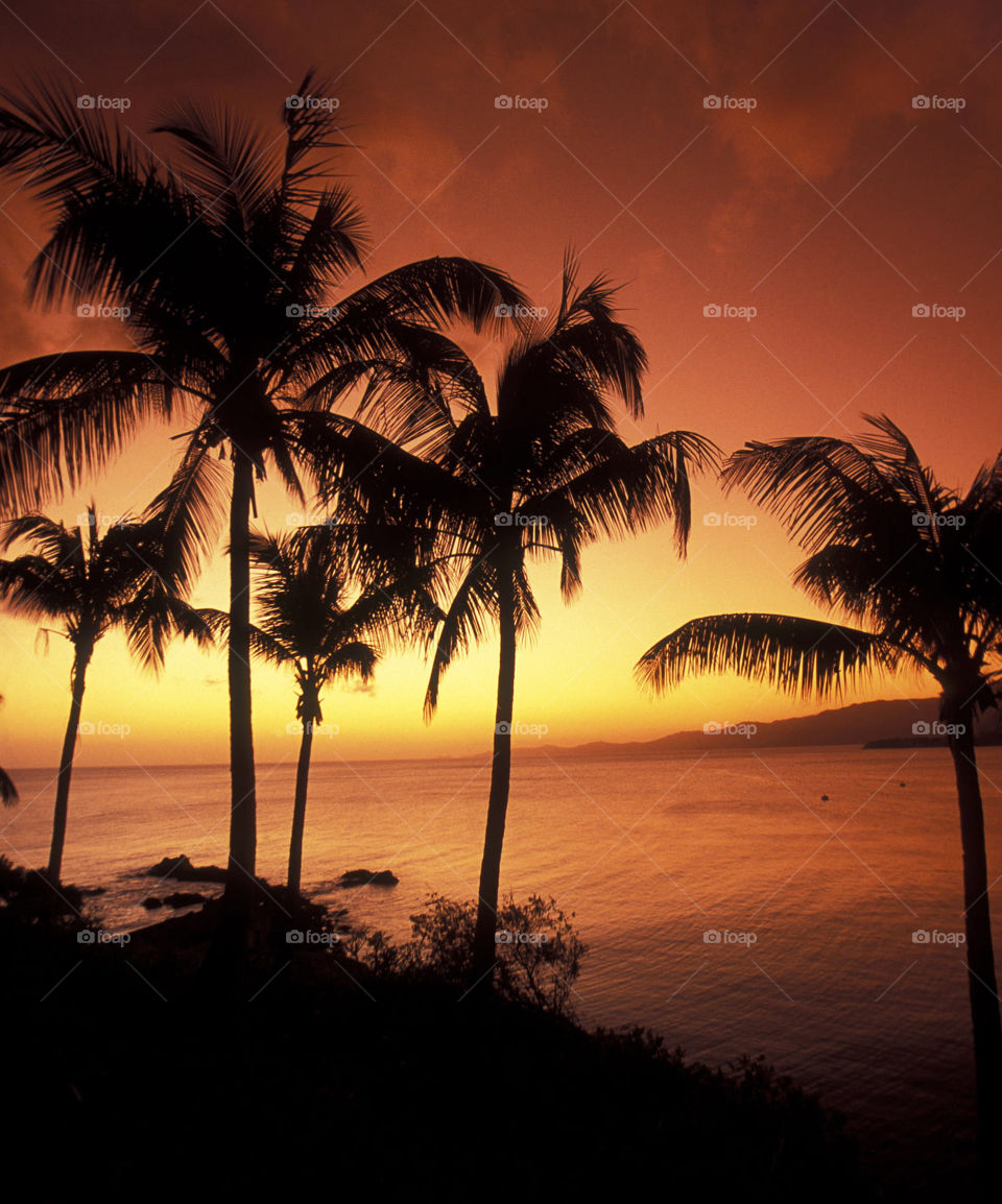 Travel around the world