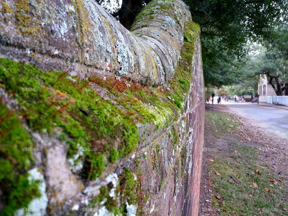 Moss covered wall in Williamsburg, Virginia