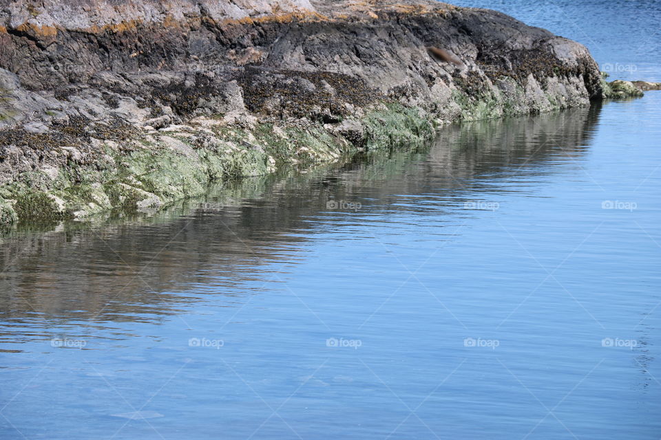 Rocky coast