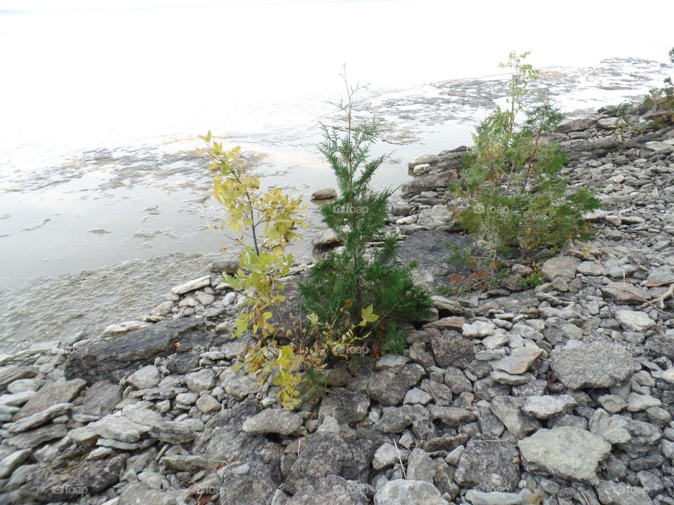 Drummond Island, Michigan 