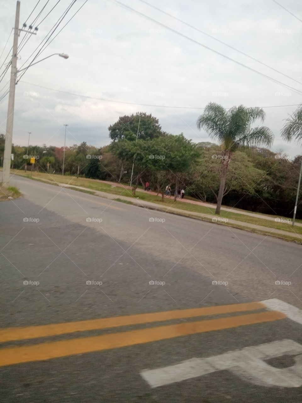 True Nature, No Filters # Truep