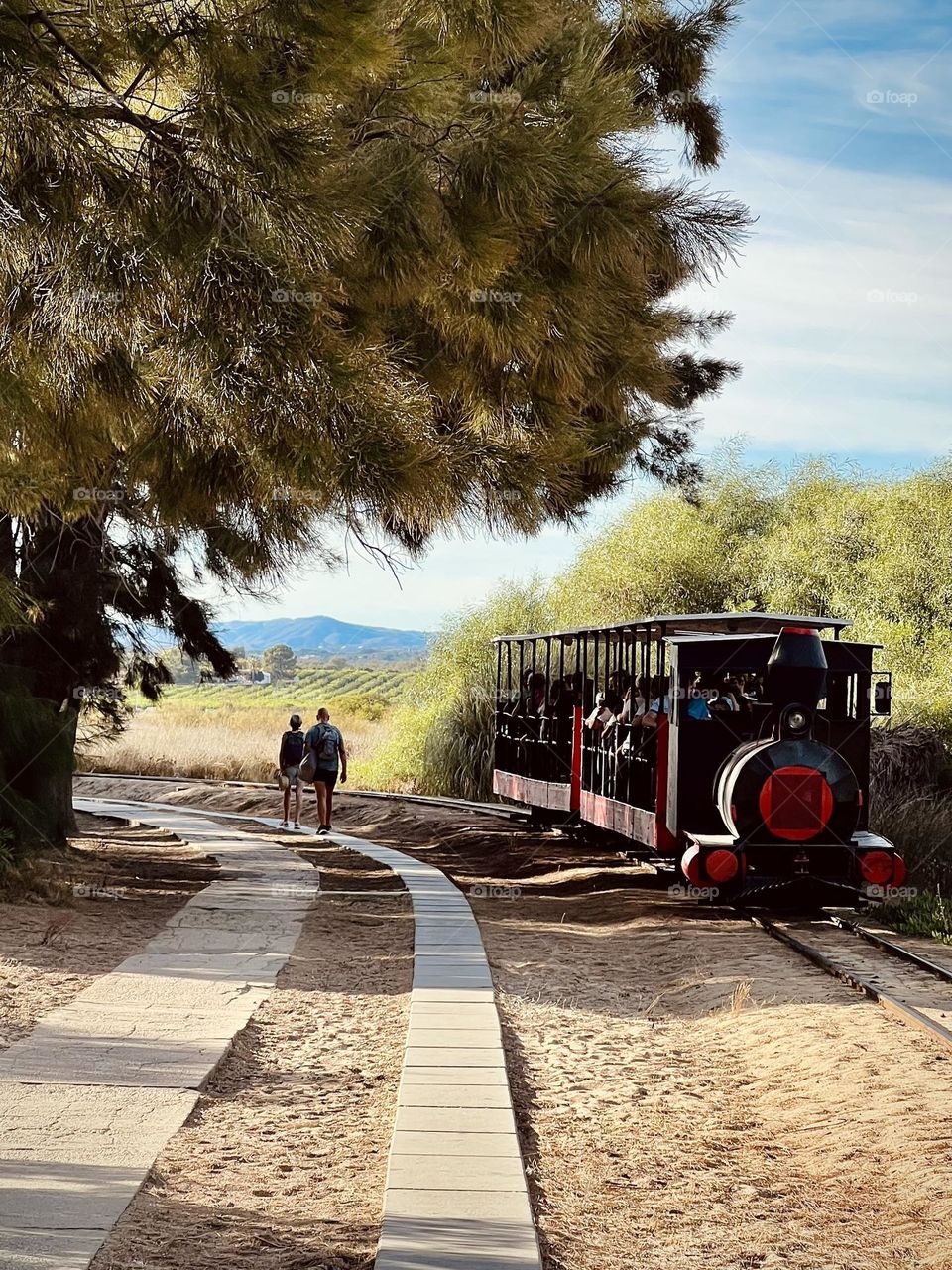 Beach train