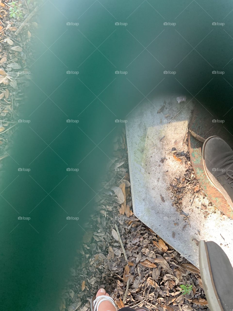 It’s a beautiful sunny day to take a walk👌