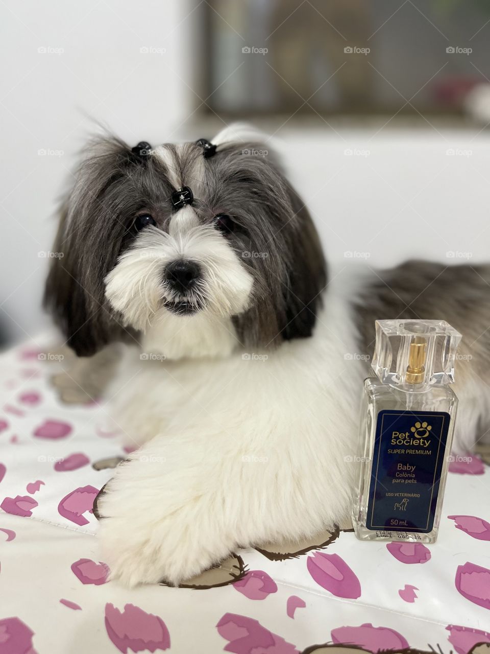 Produtos Pets para minha Maya estar sempre cheirosa 