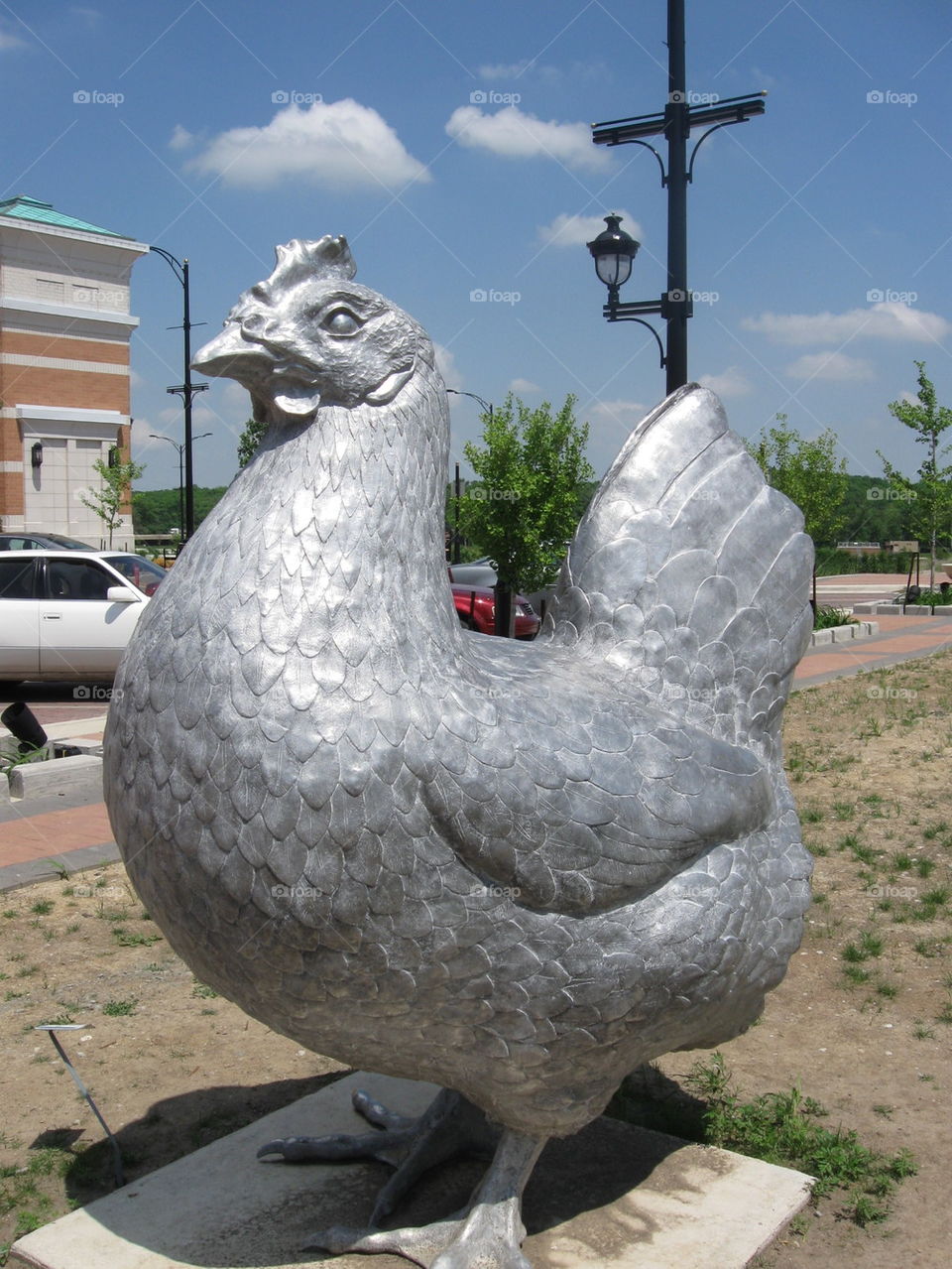 silver chicken