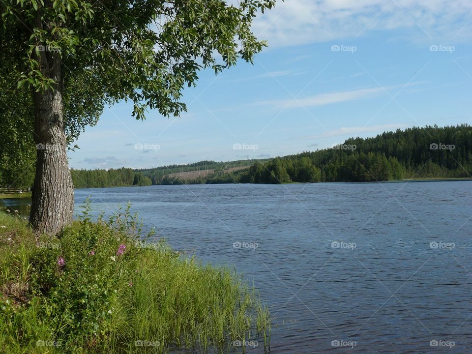 Sweden. Summer in Sweden