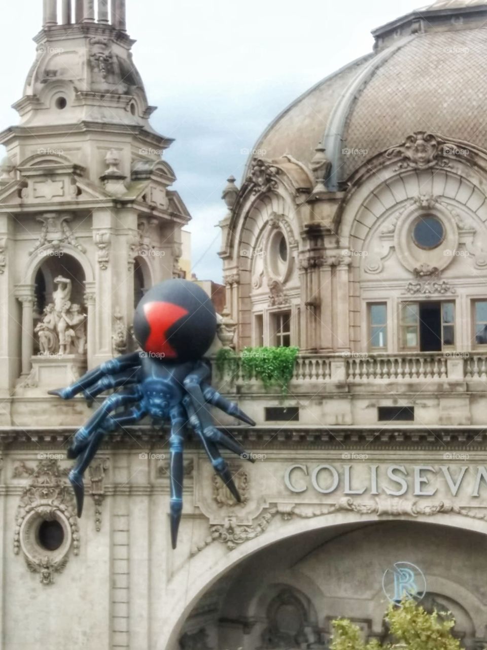 The spider in the building