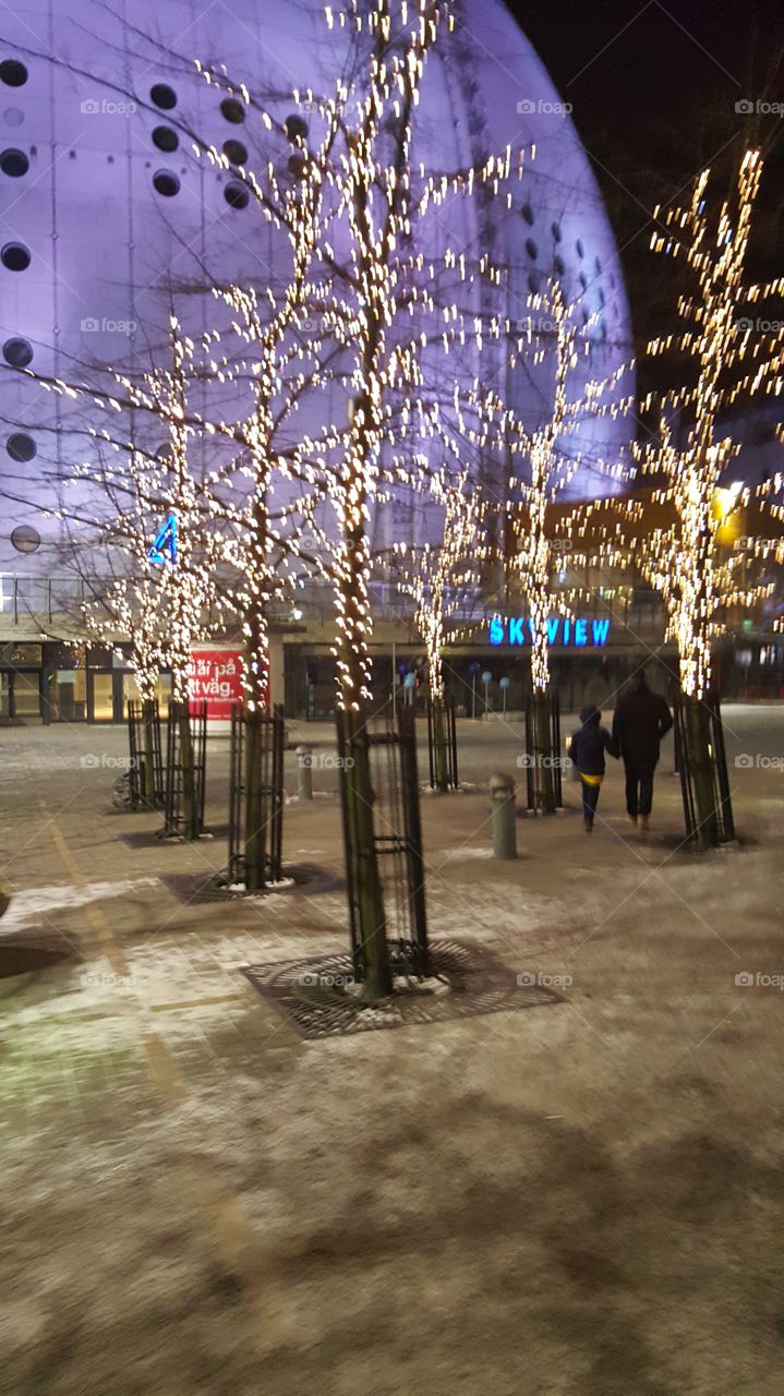 Trees with lights