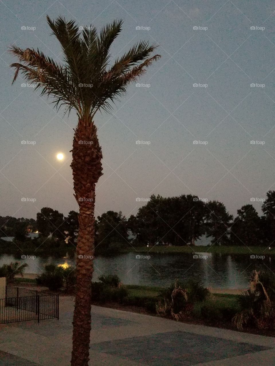 Moon over lake Conroe
