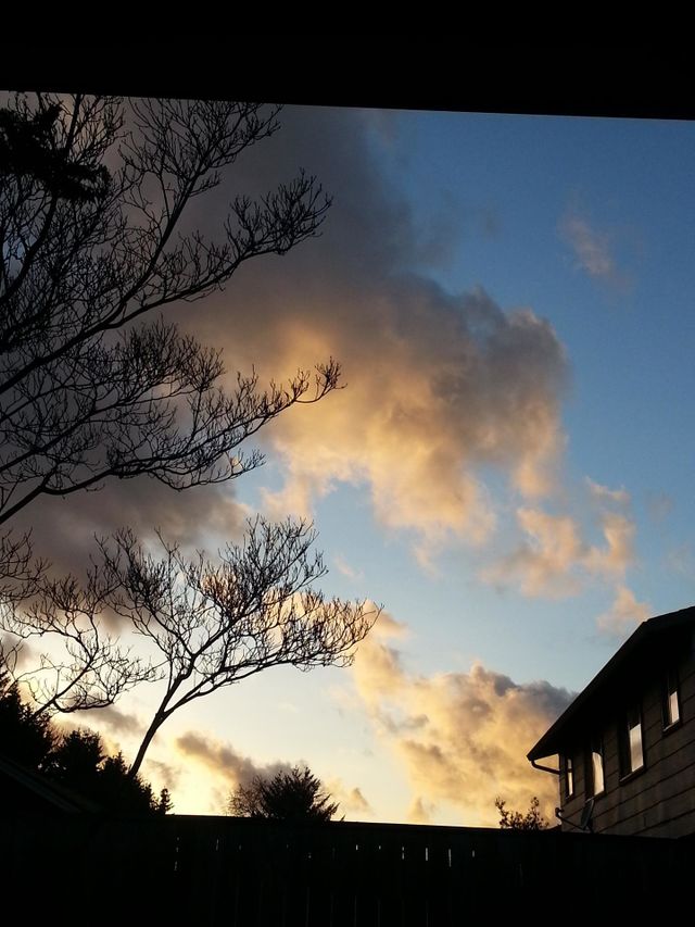 sunsetting sky