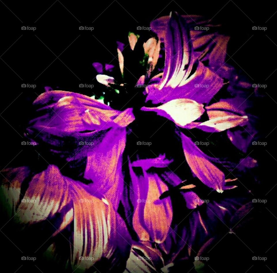 powerful. lighting effects