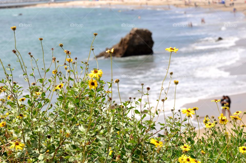 Hiking alongside the beach