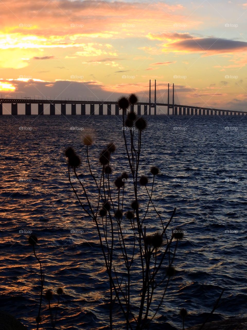 Öresundsbron in sunset