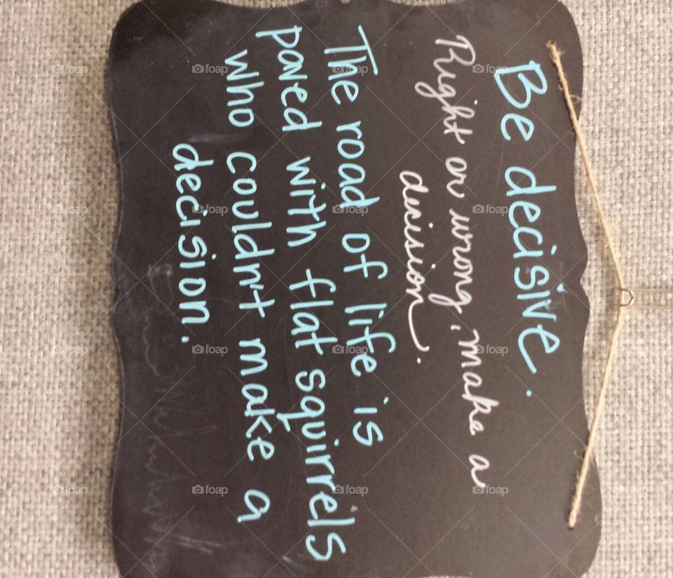 Flat squirrels couldn't make a decision